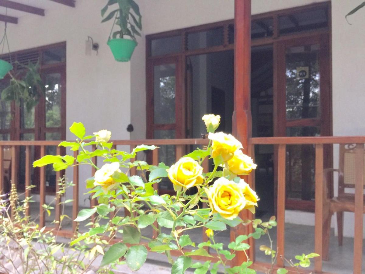 Ella Nature Nest מראה חיצוני תמונה
