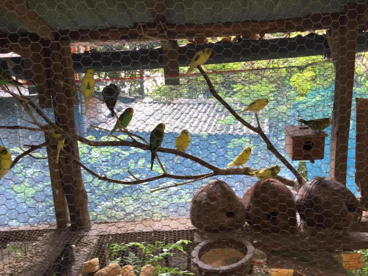Ella Nature Nest מראה חיצוני תמונה