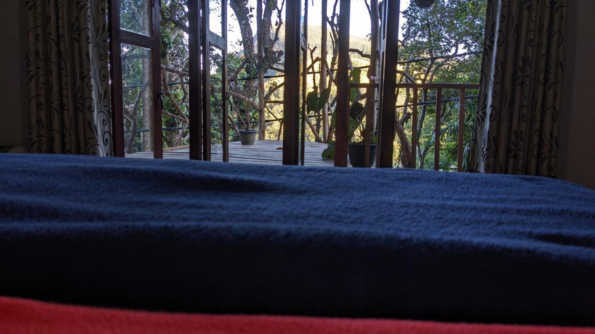 Ella Nature Nest מראה חיצוני תמונה