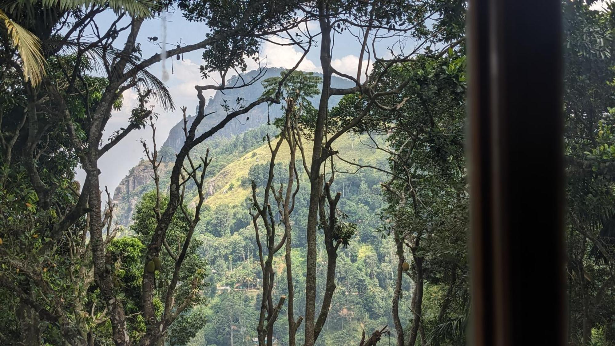 Ella Nature Nest מראה חיצוני תמונה