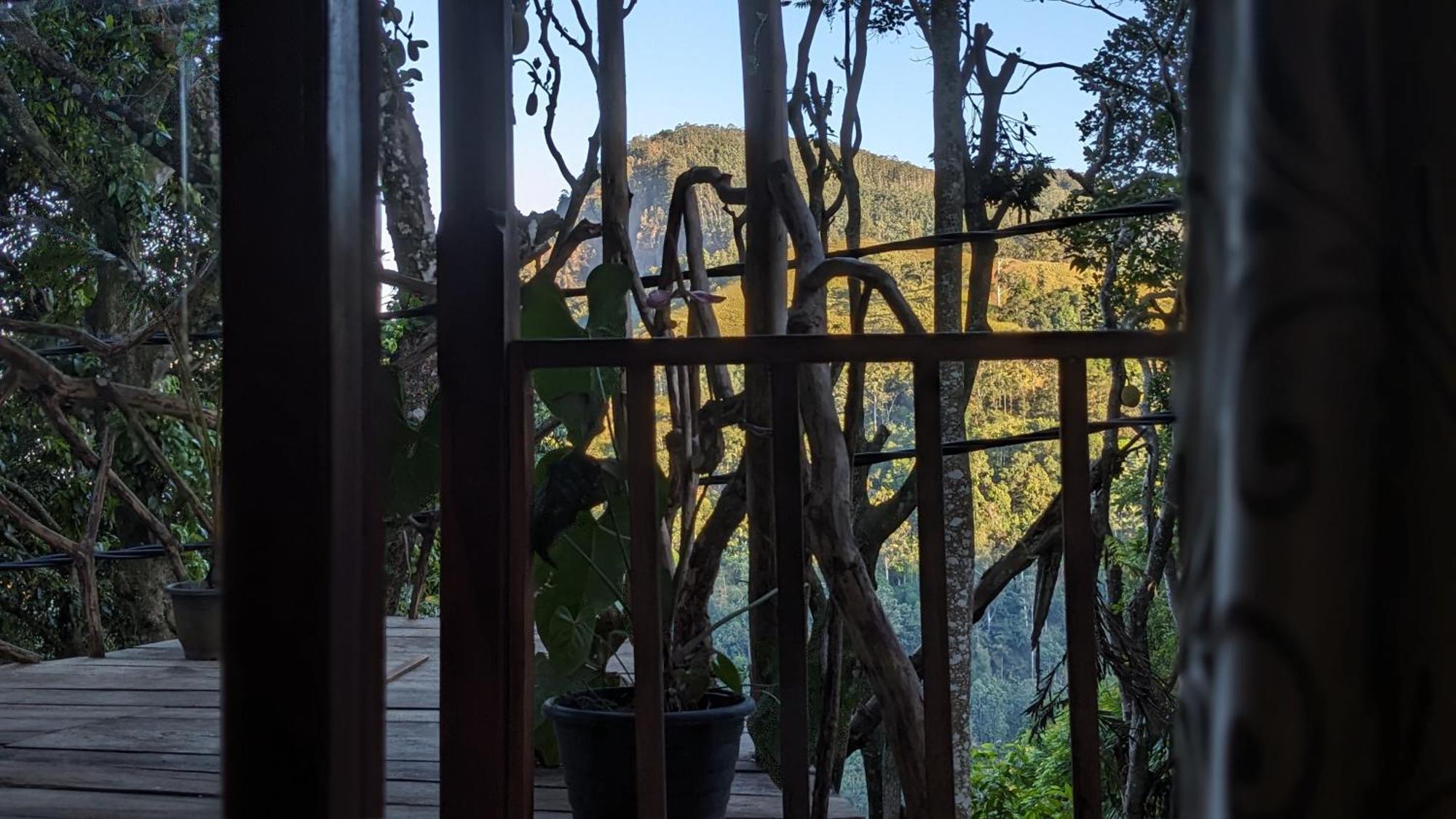 Ella Nature Nest חדר תמונה